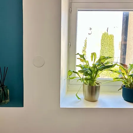 L'art Parenthese فيلة